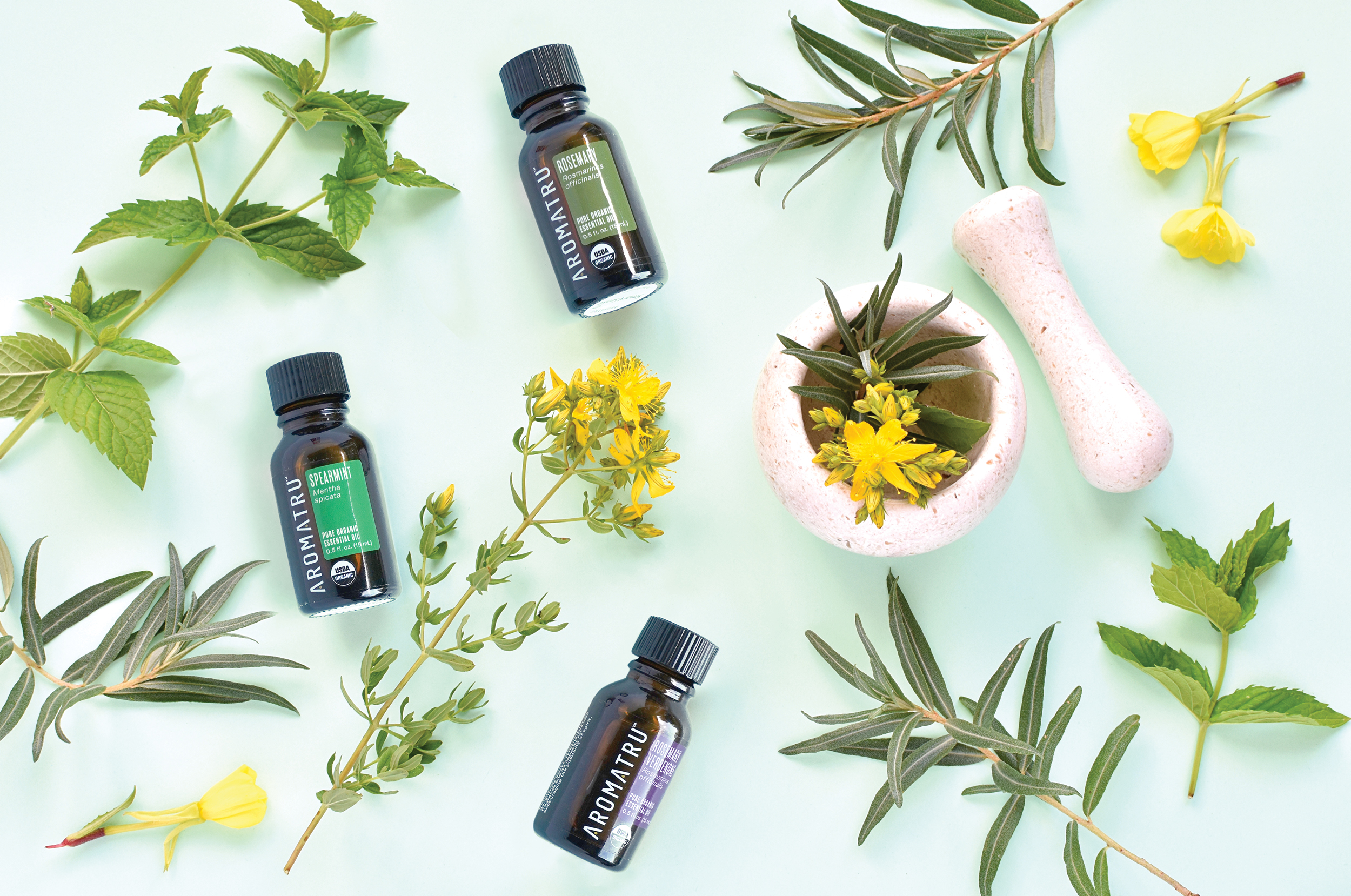 Organic & Wildcrafted: What They Mean for Your Space & Our Planet