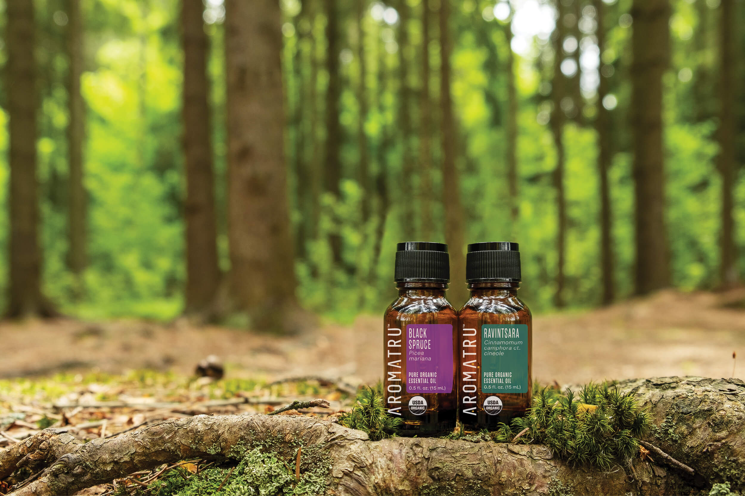 Health and Forests : International Day of Forests 2023