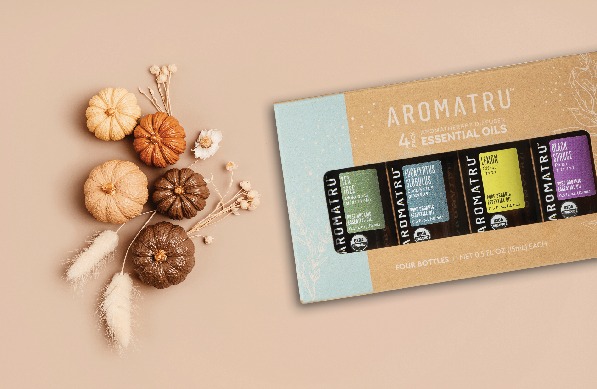 Purify Collection: Just in Time for Fall