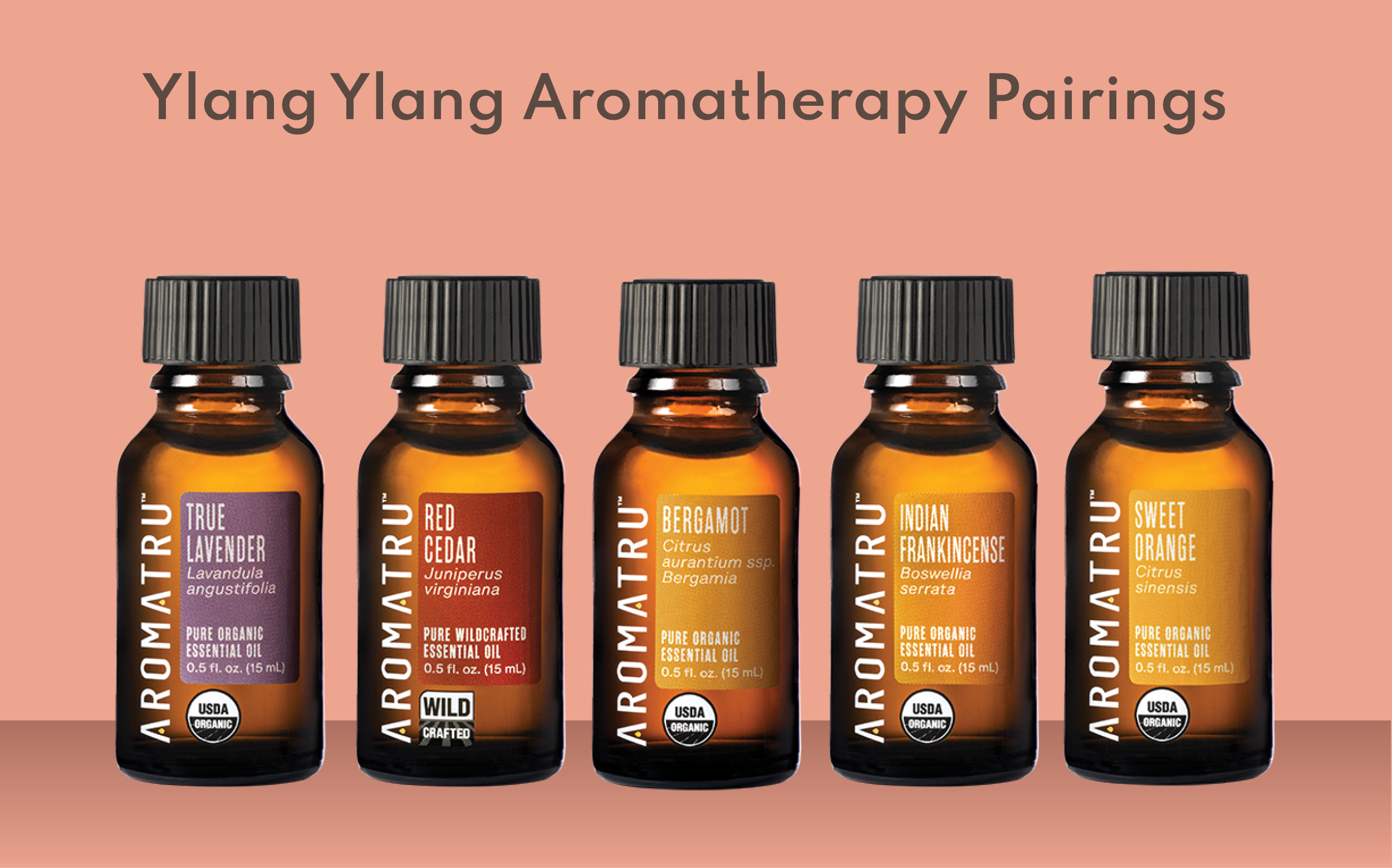 Organic Ylang Ylang Essential Oil Benefits