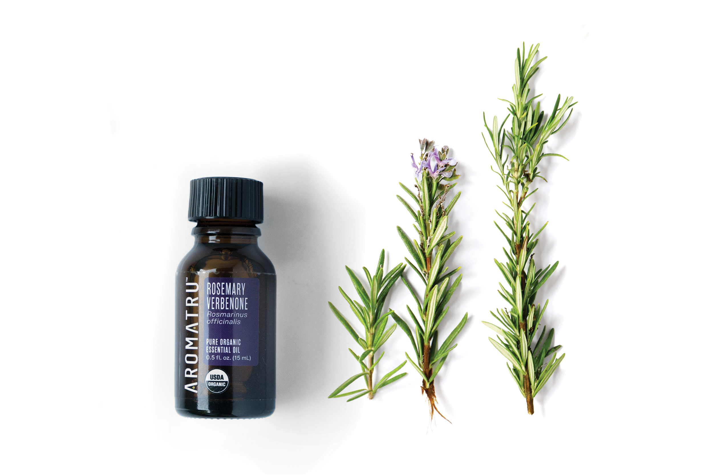Soft & Gentle Rosemary Verbenone